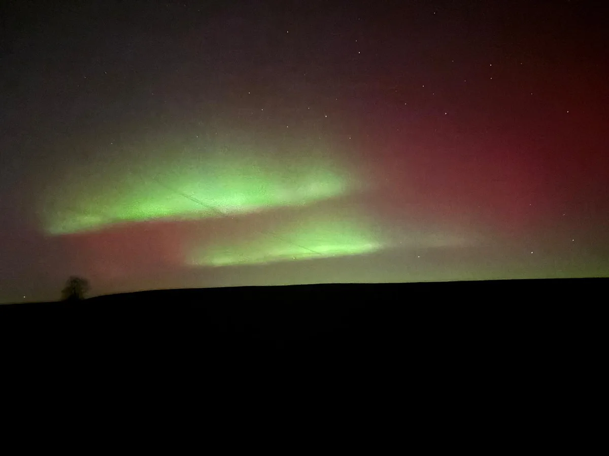 Man sieht grüne, violette und pinke Polarlichter am dunklen Nachthimmel.